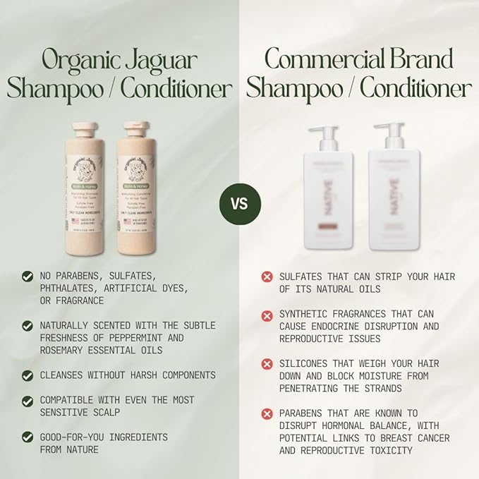 Natural Shampoo for Hair Care, Sulfate Free Shampoo with Castor Oil, Honey, Biotin, Glycerin, Aloe Vera & Mild Thickening Agent, Unscented, Dry to Color Treated to All Hair, 13.5 fl oz