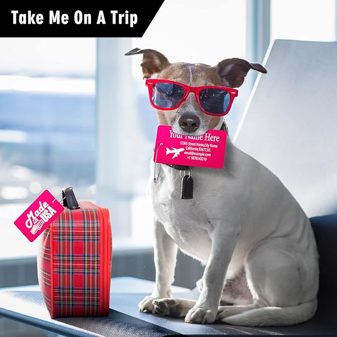 Luggage Tags for Suitcase - Personalized Engraved Metal Tag for Cruise Travel - Custom Name Tags Suitable for Bags and Backpacks(Green)