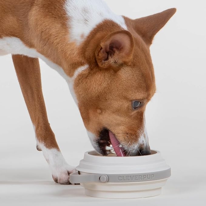 Nomad Small Collapsible Dog Bowl - 2 Cup Food-Safe Silicone Travel Bowl for Dogs, Portable & Sturdy, Food/Water, Dishwasher Safe - Sand